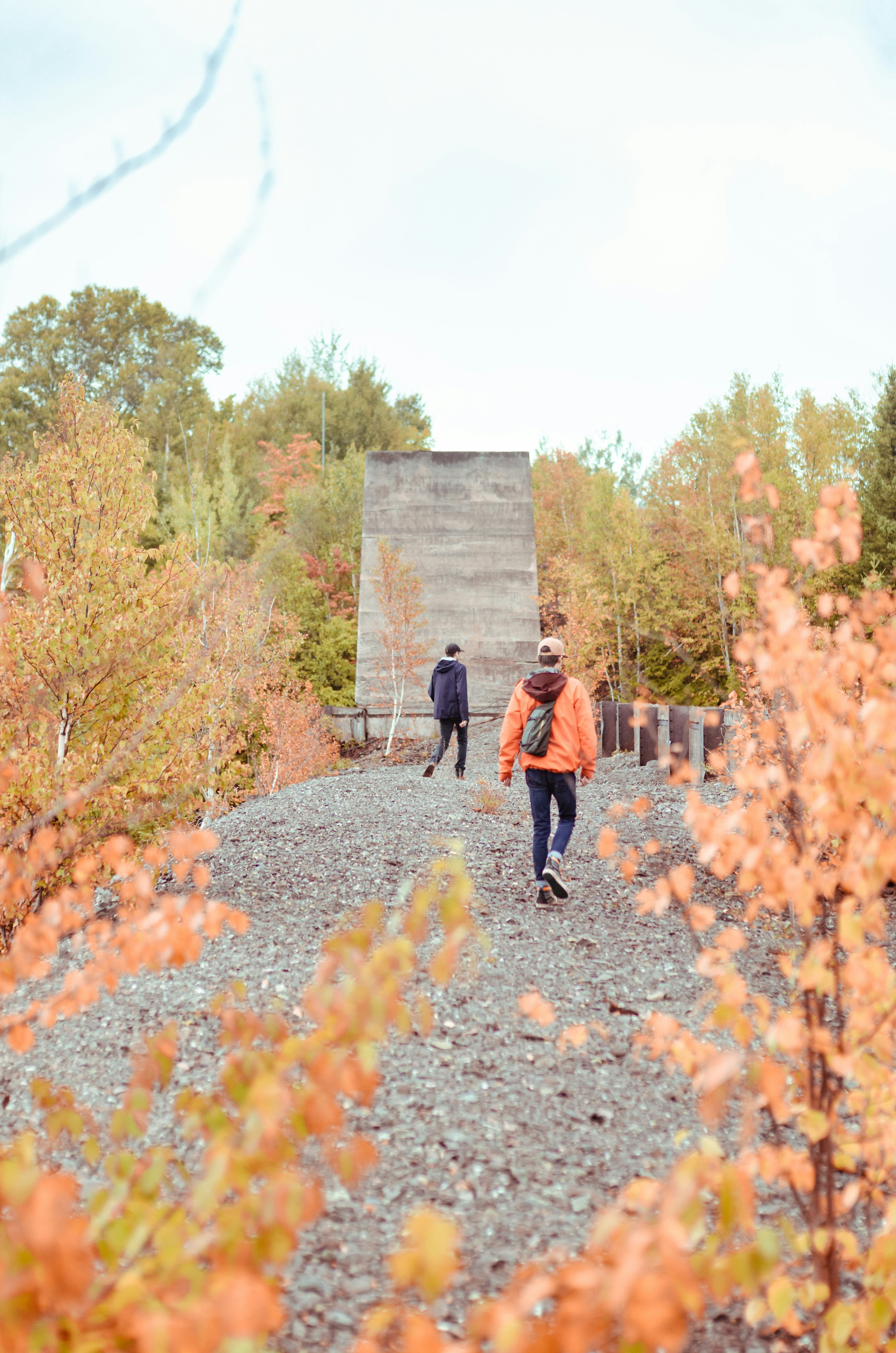 man and woman walking on pathway surrounded by trees during daytime